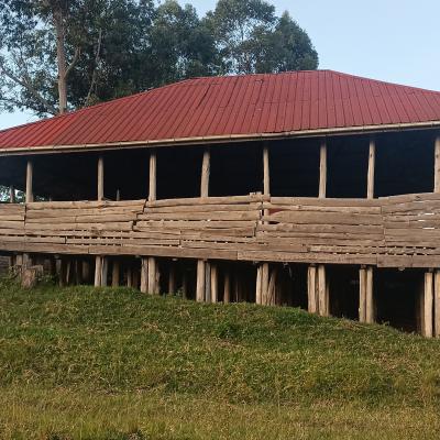 Goat Pen