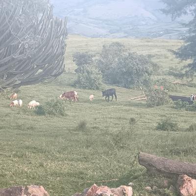 Img 20240331 182706 071